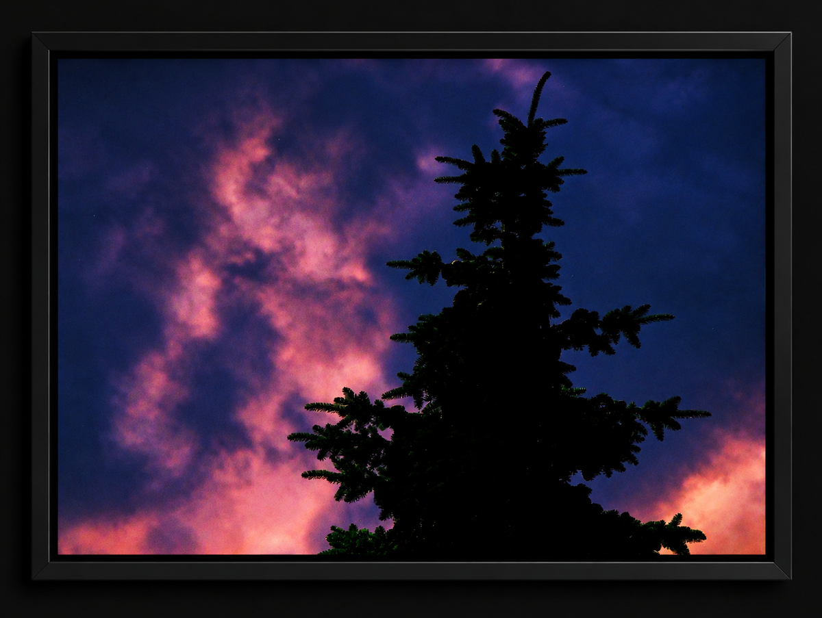Afterglow | Framed