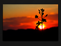 Last Light