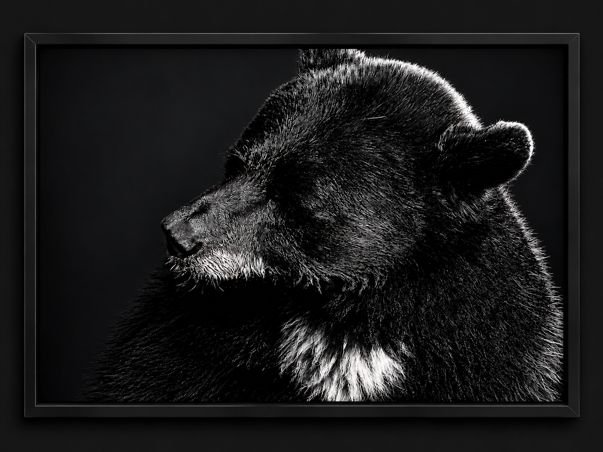 Untamed | Framed